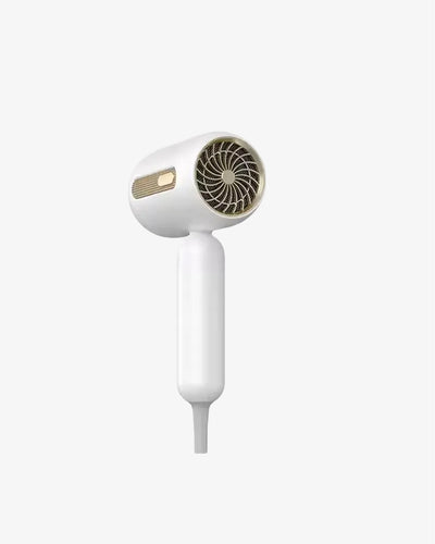 High Speed Blue Light Negative Ion Hair Dryer with 23 m/s Super Wind Speed and DC Motor (color)